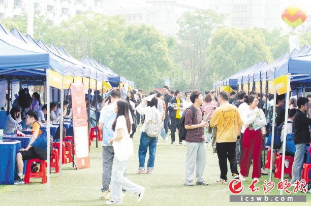 28081828cff5[1].jpg