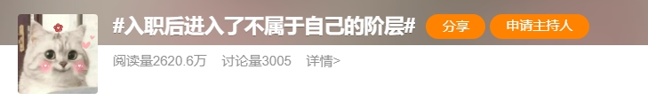 入职后,我进入了不属于自己的圈子