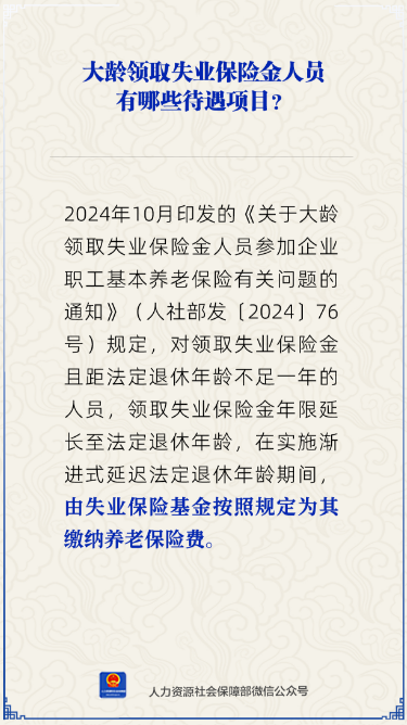 大龄领取失业保险金人员有哪些待遇项目？
