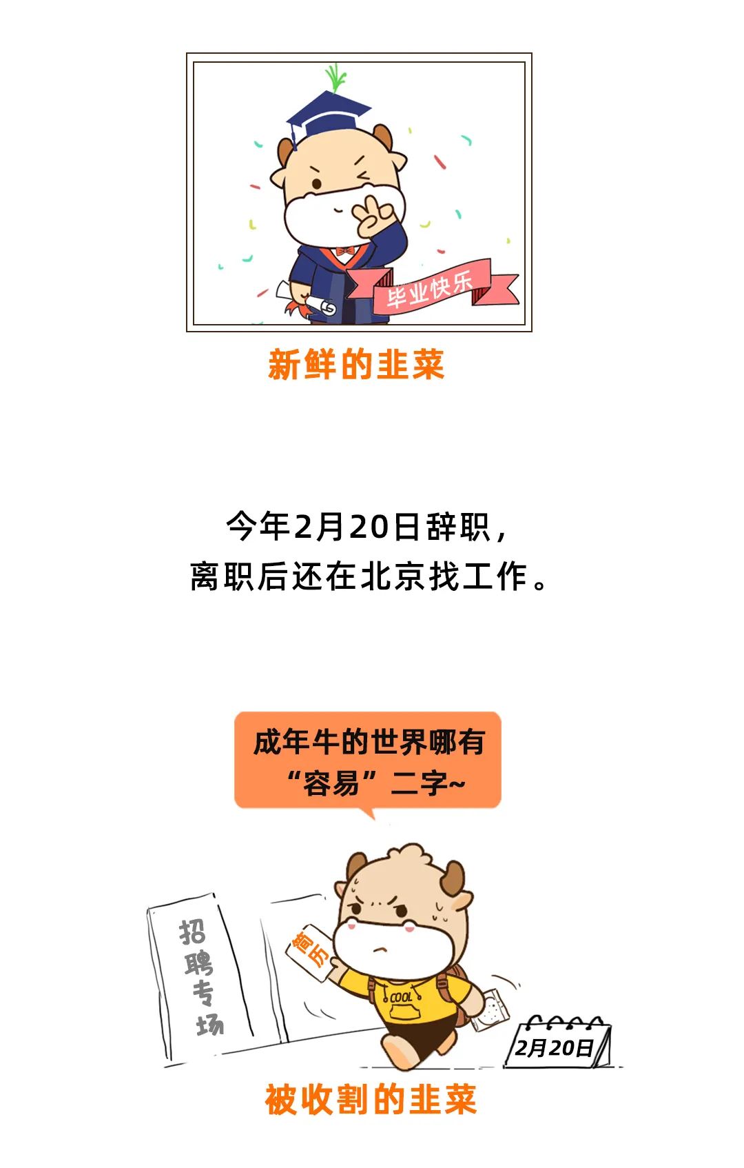 社保断缴1次,这些待遇全部取消!
